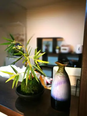 a table with two plants and a vase on it at 新宿顶级奢华三层独栋别墅/车站5分钟/儿童房/8人 in Tokyo