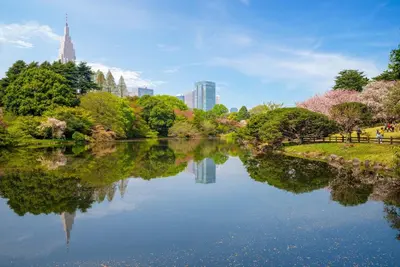 a view of a pond in a park with trees at EDIFICE SHIBUYA301 in Tokyo
