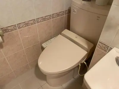 a bathroom with a white toilet and a sink at \u30db\u30c6\u30eb\u30d5\u30a9\u30fc\u30e9\u30e0 in Tokyo