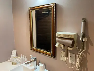 a bathroom with a mirror and a sink with a hair dryer at Hotel RIO\u65b0\u5bbf in Tokyo