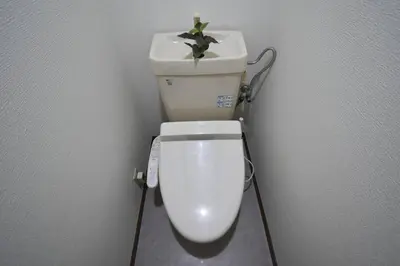 a toilet in a bathroom with a plant on top of it at \u30e1\u30be\u30f3\u516b\u5343\u4ee3102 in Tokyo