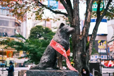 a statue of a dog wearing a red bandana at Elle's Shirokane Guest house 301 in Tokyo