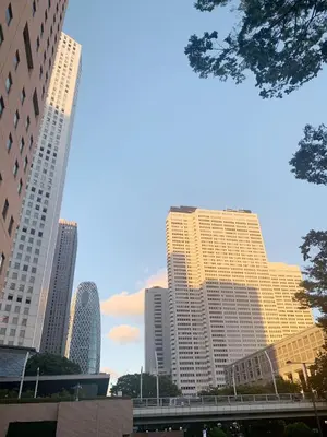 a group of tall buildings in a city at Shinjuku Area!Nishi-Shinjuku Gochome subway 6 minutes walk! \u897f\u65b0\u5bbf\u4e94\u4e01\u76ee\u8f66\u7ad9\u6b65\u884c6\u5206\u949f! \u9ad8\u901f\u65e0\u9650\u5236WIFI 201 in Tokyo