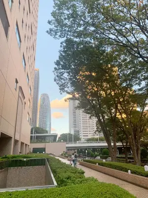 a park in a city with tall buildings at Shinjuku Area!Nishi-Shinjuku Gochome subway 6 minutes walk! \u897f\u65b0\u5bbf\u4e94\u4e01\u76ee\u8f66\u7ad9\u6b65\u884c6\u5206\u949f! \u9ad8\u901f\u65e0\u9650\u5236WIFI 201 in Tokyo