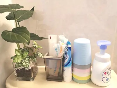 a shelf with toiletries and a potted plant at Lions Mansion Kabukicho No2 with2 bedroom in Tokyo