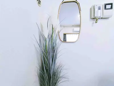 a mirror hanging on a wall next to a plant at K Shinjuku area-MAX 4p-\u65b0\u5bbf\u4e2d\u5fc3\u5730\u57df-\u6b65\u884c\u53ef\u5230\u65b0\u5bbf\u5927\u4e45\u4fdd\u6b4c\u821e\u4f0e\u753a-\u53ef\u4f4f4\u4eba in Tokyo