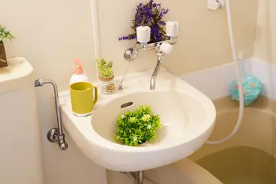 a white sink with a green plant in it at Kameari 811 Budget Stay High Floor Near Station Mall Disney Access in Tokyo