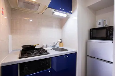 a small kitchen with a stove and a sink at walk to Higahsi Shinjuku sta. SIoQ-2 in Tokyo