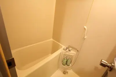 a bathroom with a toilet and a bath tub at LUANA ARAI in Tokyo