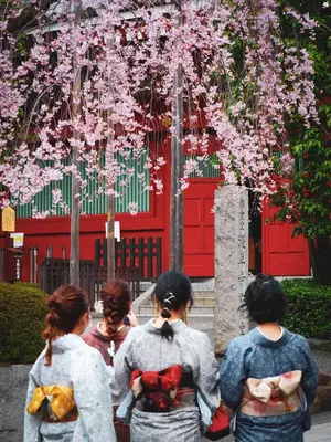four women in kimonos standing in front of a red door at \u6771\u99d2\u5f62101 in Tokyo