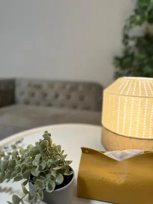 a table with a potted plant and a lamp on it at \u5c71\u624b\u7dda\u300c\u5927\u585a\u99c5\u300d\u5f92\u6b69\uff15\u5206\u3000\u8cb8\u5207\u90e8\u5c4b in Tokyo