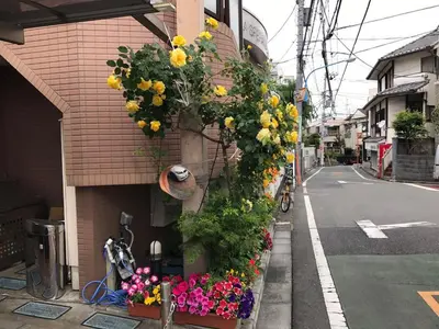 a bunch of flowers on the side of a building at 新宿の家-畳み3部屋 Maison à Shinjuku - pedalmi chambre 3 personnes in Tokyo