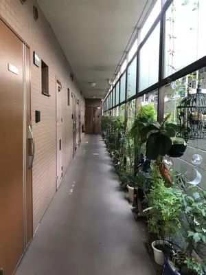 a hallway of an office building with plants at 新宿の家-畳み3部屋 Maison à Shinjuku - pedalmi chambre 3 personnes in Tokyo