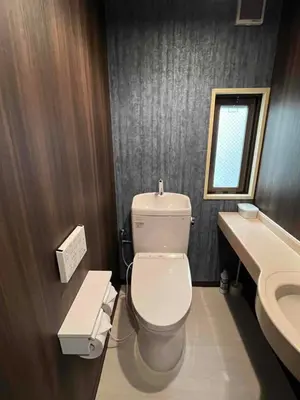 a bathroom with a white toilet and a sink at Cozy inn Oyama in Tokyo