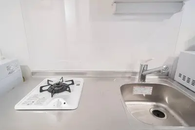 a kitchen sink with a bug sitting on top of it at Takadanobaba Address102 in Tokyo
