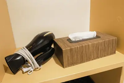 a black hairdryer and a box on a counter at Lodging Tokyo Shibamata in Tokyo