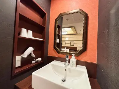 a bathroom with a sink and a mirror at 1st STEP HOTEL \u30d5\u30a1\u30fc\u30b9\u30c8\u30b9\u30c6\u30c3\u30d5\u309a\u30db\u30c6\u30eb in Tokyo