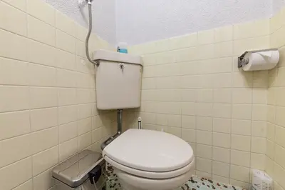 a bathroom with a toilet and a shower at \u30d1\u30eb\u30b3\u30fc\u30c8\u6c60\u888b in Tokyo
