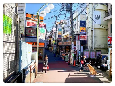 a person walking a dog on a leash on a city street at TOKYO/Shinjuku & Shibuya 10mins/5mins walk to subway stiaon/Kichijoji 15mins/Shimokitazawa 5mins/Louis House in Tokyo
