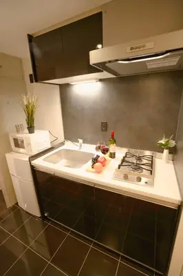 a kitchen with a sink and a stove at FL Residence Seeikokan III in Tokyo