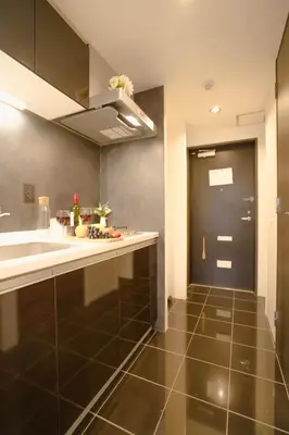a kitchen with a sink and a black door at FL Residence Seeikokan III in Tokyo