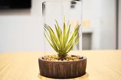 a plant in a glass vase on a table at \u4e0a\u91ce\u8d85\u8c6a\u534e4\u4eba\u95f4 \u4e1c\u4eac\u8d85\u7ea7\u4e2d\u5fc3Ycod \u4e0a\u91ce\u516c\u56ed3\u5206\u949f \u8f66\u7ad91\u5206\u949f \u8d85\u7ea7\u7e41\u534e \u514d\u8d39wifi \u6234\u68ee\u5439\u98ce in Tokyo