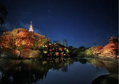 a night time view of a park with a river at \u897f\u65b0\u5bbf5\u4e01\u76ee\u6238\u5efa in Tokyo