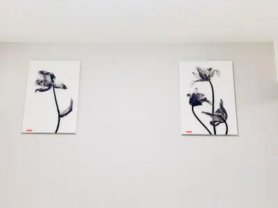 three framed photographs of a flower on a wall at Shinjuku-K-SJ0060 in Tokyo