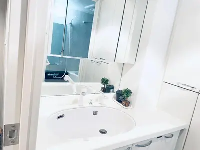 a bathroom with a sink and a mirror at Shinjuku-K-SJ0060 in Tokyo