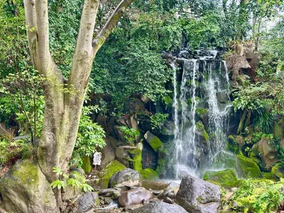 a waterfall in the middle of a forest at 7\u6642IN19\u6642OUT # \u6c60\u888b\u738b\u5b50\u8d64\u7fbd\u99c5\u7121\u6599\u9001\u8fce# \u4e0a\u91ce\u99c514\u5206 # \u65e5\u66ae\u91cc\u99c510\u5206 # \u4e00\u68df\u8cb8\u5207 # \u6700\u59277\u540d # B # 7 00 IN19 00 OUT # Free pick up Ikebukuro Oji and Akabane Stations # 14 min to Ueno # 10 min to Nippori # Whole house rental # Max 7 # B in Tokyo