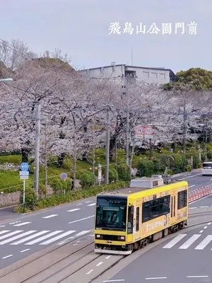 a yellow bus driving down a street with flowering trees at 7\u6642IN19\u6642OUT # \u6c60\u888b\u738b\u5b50\u8d64\u7fbd\u99c5\u7121\u6599\u9001\u8fce# \u4e0a\u91ce\u99c514\u5206 # \u65e5\u66ae\u91cc\u99c510\u5206 # \u4e00\u68df\u8cb8\u5207 # \u6700\u59277\u540d # B # 7 00 IN19 00 OUT # Free pick up Ikebukuro Oji and Akabane Stations # 14 min to Ueno # 10 min to Nippori # Whole house rental # Max 7 # B in Tokyo