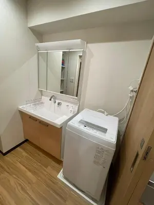 a bathroom with a washing machine and a sink at Mezon Akihabara Guest House in Tokyo
