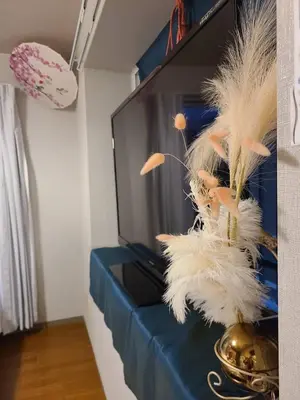 a vase with feathers on a table next to a tv at \u7f8e\u30cf\u30a6\u30b9 Beauty House in Tokyo