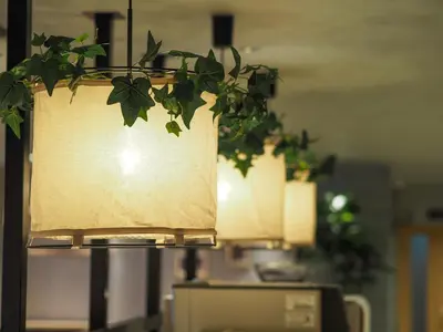 a lamp with a potted plant hanging from it at Super Hotel Asakusa in Tokyo