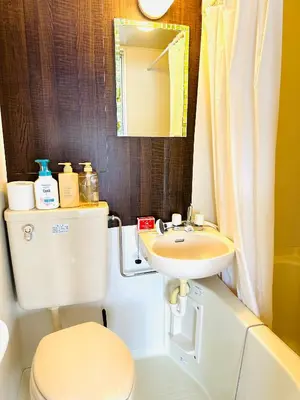 a bathroom with a toilet and a sink and a mirror at \u5e73\u548c\u5c9b\u6c11\u5bbf in Tokyo