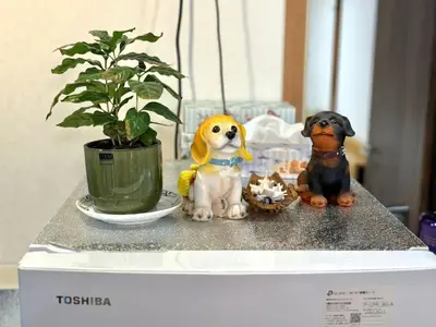 two stuffed dogs sitting on a counter next to a plant at TOKYO HOSHI VILLIA-Private Villa in Tokyo ideal for groups and families in Tokyo