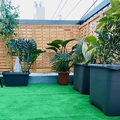 BURan House