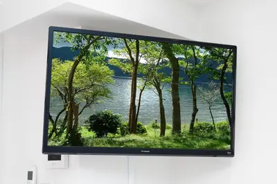 a flat screen tv with a picture of a lake at IKEBUKURO MANGA HOUSE in Tokyo