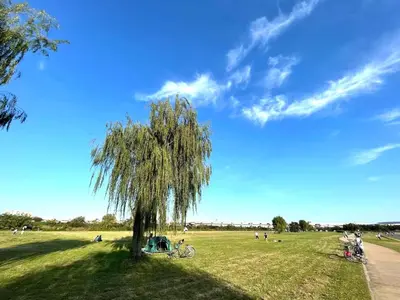 a tree in the middle of a field with people at Cube Stay \u5317\u6771\u4eac in Tokyo
