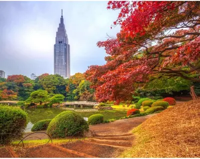 a park with a tall building in the background at 43\u65b0\u5bbf\u6700\u4e2d\u5fc3 \u65b0\u5bbf\u5fa1\u82d1\u524d\u7ad95\u5206-Shinjuku center 5 mins to Station, Max 3 \u76f4\u8fbe\u65b0\u5bbf \u6d89\u8c37 \u8868\u53c2\u9053 \u6c60\u888b \u4e0a\u91ce \u4ee3\u4ee3\u6728 \u94f6\u5ea7 \u539f\u5bbf in Tokyo