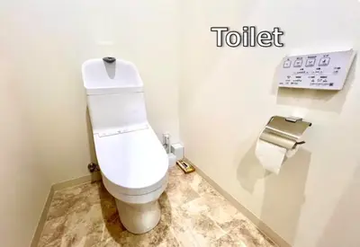 a toilet in a bathroom with a toilet paper dispenser at \u4e0a\u91ce\u685c\u6728 in Tokyo