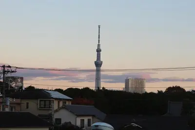 a city with a tv tower in the background at \u4e0a\u91ce\u685c\u6728 in Tokyo