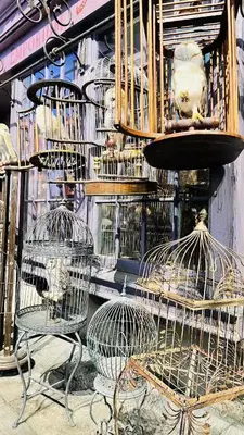 a group of birds in cages on the side of a building at \u5c0f\u7af9\u306e\u5bbf\u65e5\u5f0f\u72ec\u680b\u4e09\u95f4\u5367\u5ba4\u6c60\u888b\u5730\u94c1\u4e94\u7ad9 in Tokyo