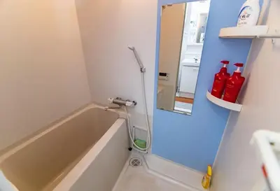 a bathroom with a bath tub and a mirror at KYARA Hotel \u4e80\u6238402 in Tokyo