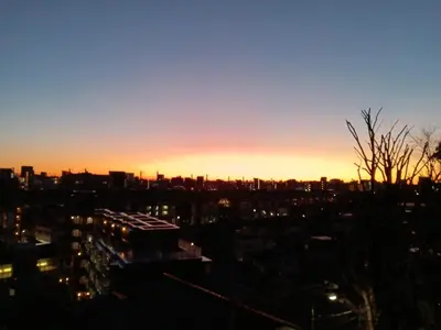 a view of a city skyline at sunset at Tokyo downtown\u7261\u4e39\u838a in Tokyo