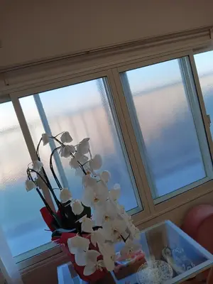 a vase of flowers on a table in front of a window at Tokyo downtown\u7261\u4e39\u838a in Tokyo