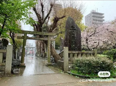 a japanese cemetery in the rain withakura trees at Sky hotel 03#\u775b\u7a7a\u5854\u70ed\u95e8\u65c5\u6e38\u666f\u533a \u6700\u8fd1\u8f66\u7ad9\u6b65\u884c3\u5206\u949f \u673a\u573a\u76f4\u8fbe \u5468\u8fb9\u6709\u4fbf\u5229\u5e97 \u5546\u573a \u6e29\u6cc9 \u8d2d\u7269\u9910\u996e\u65b9\u4fbf in Tokyo