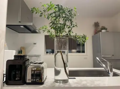 a vase with a plant in it on a kitchen counter at Tanuki Shinjuku in Tokyo