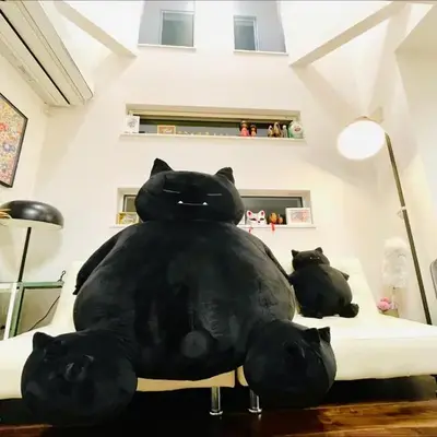 Tanuki Shinjuku