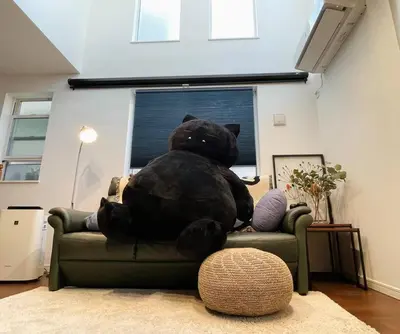 a teddy bear sitting on top of a couch at Tanuki Shinjuku 2 in Tokyo